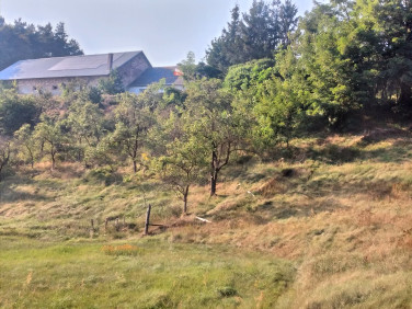 Działka rolna Przewóz sprzedam