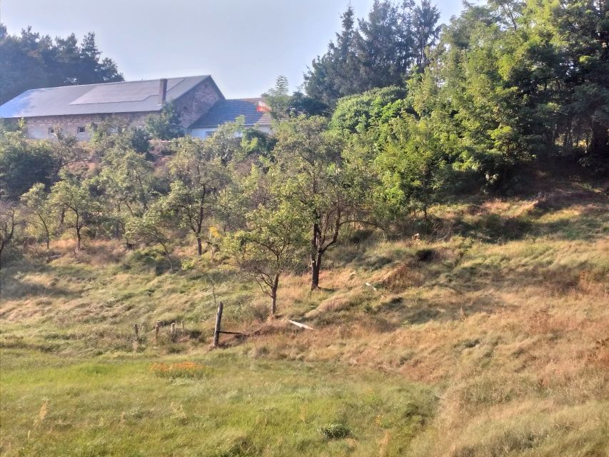 Działka rolna Przewóz sprzedam