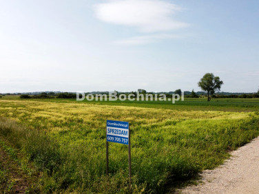 Działka budowlana Strzelce Wielkie