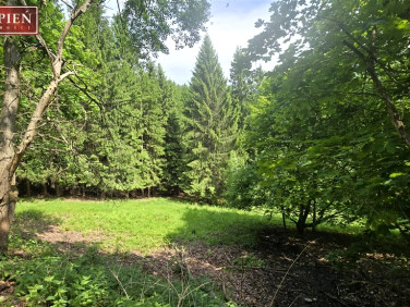 Działka inwestycyjna Jelenia Góra sprzedam