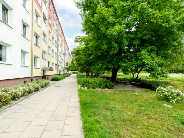 Mieszkanie Szczecin