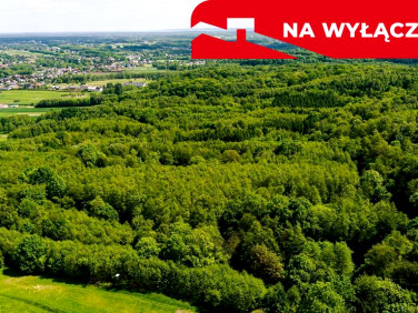 Działka leśna Skrzyszów