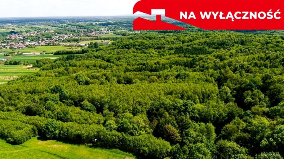 Działka leśna Skrzyszów