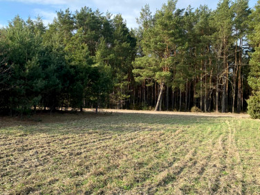 Działka inna Ostrówek