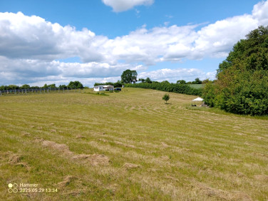 Działka inna Trzcińsko-Zdrój