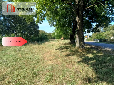 Działka Kurzętnik
