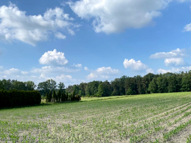 Działka budowlana Żory