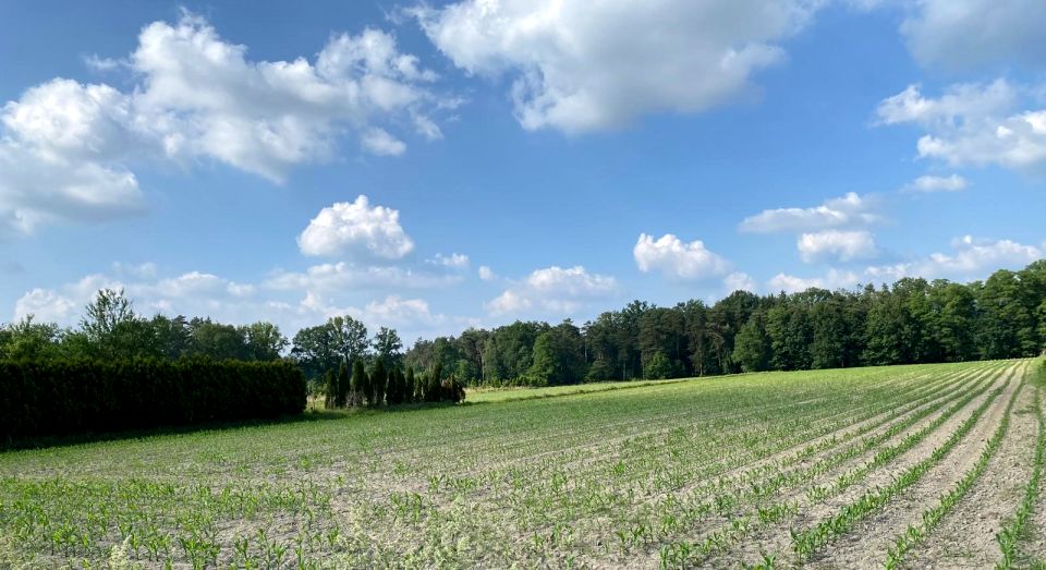 Działka budowlana Żory