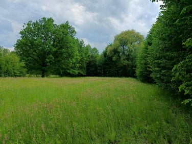 Działka budowlano-rolna Celinów