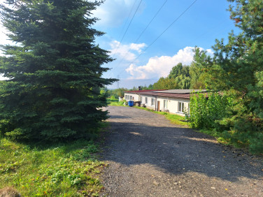 Lokal Częstochowa