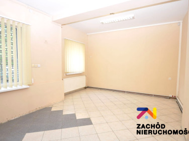 Lokal Zielona Góra
