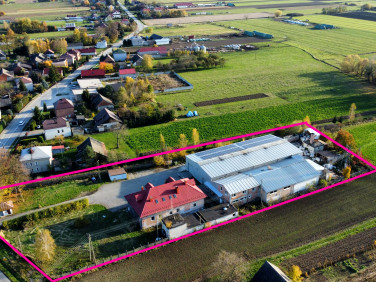 Budynek użytkowy Przybysławice wynajem
