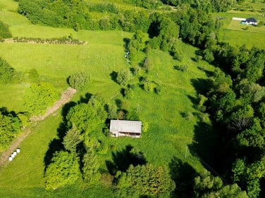 Dom Skrzydlna