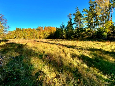 Działka Kowale