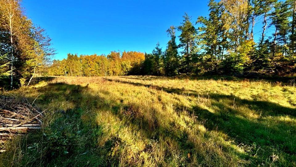 Działka Kowale