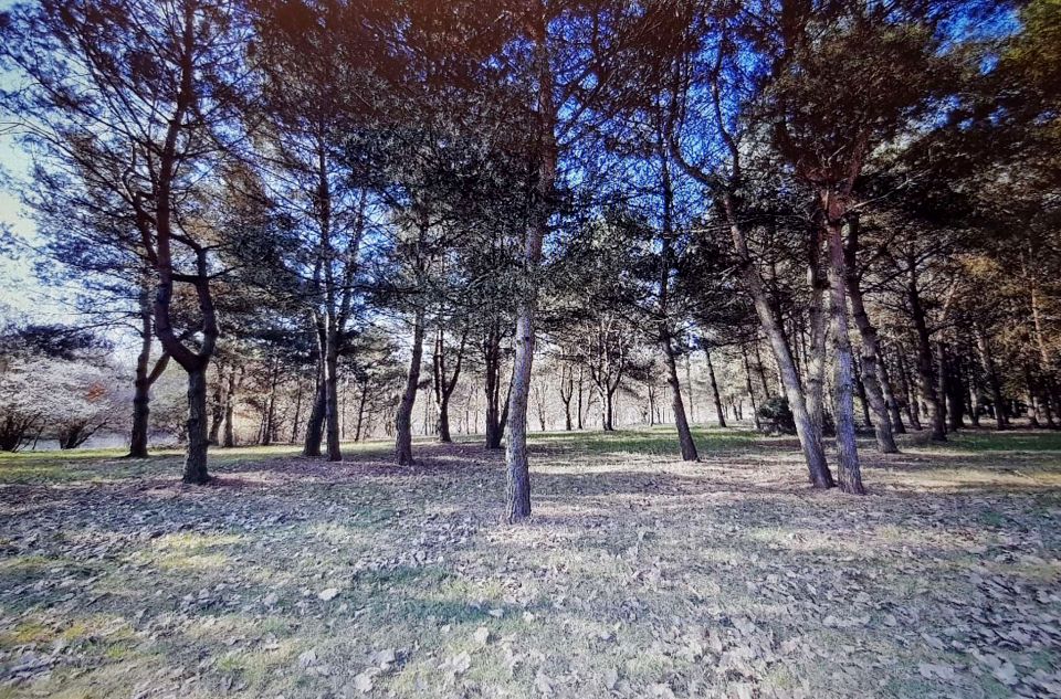 Działka rekreacyjna Szczecin