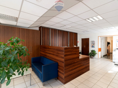 Lokal Kaźmierz sprzedaż