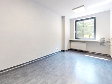 Lokal Katowice