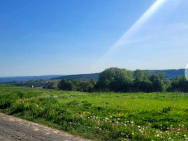 Działka przy lesie