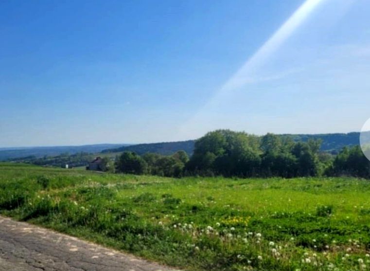 Działka przy lesie