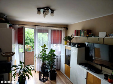 Mieszkanie Gorzów Wielkopolski