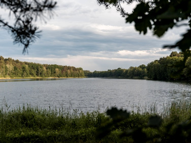 Działka Stołuń