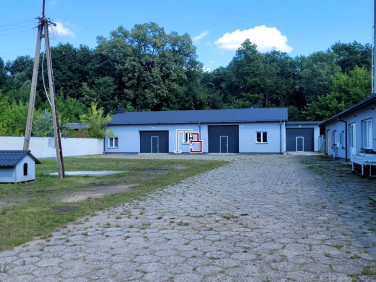 Budynek użytkowy Wiązowna