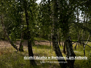 Działka budowlana Bielkówko