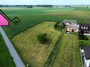 Dom Wiśniewa-Kolonia