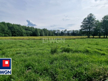 Działka siedliskowa Krzywczyce