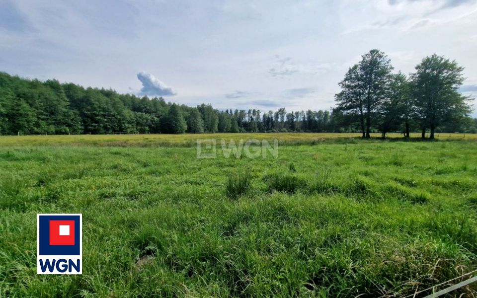 Działka siedliskowa Krzywczyce