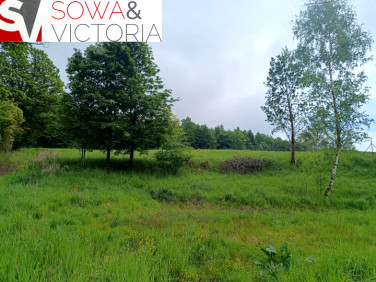 Działka budowlana Głuszyca sprzedam