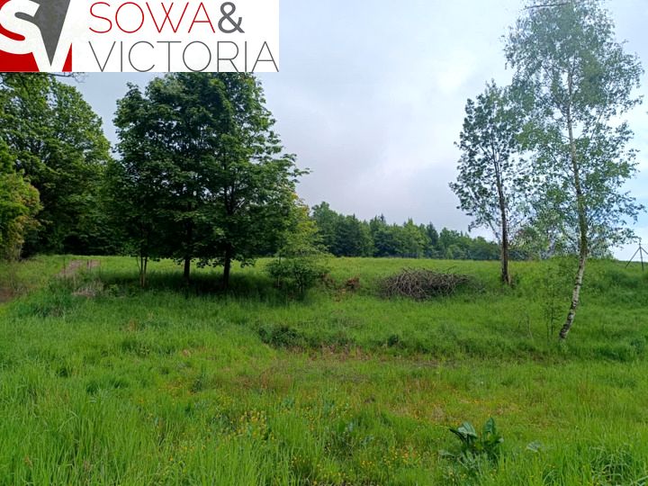 Działka budowlana Głuszyca sprzedam