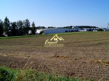 Działka inwestycyjna Nowe Miasto Lubawskie