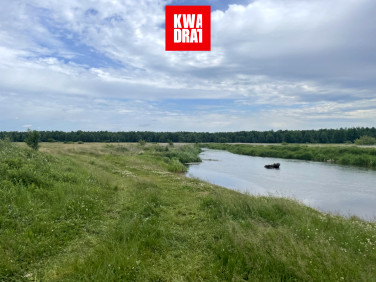 Działka rolna Grodzisk