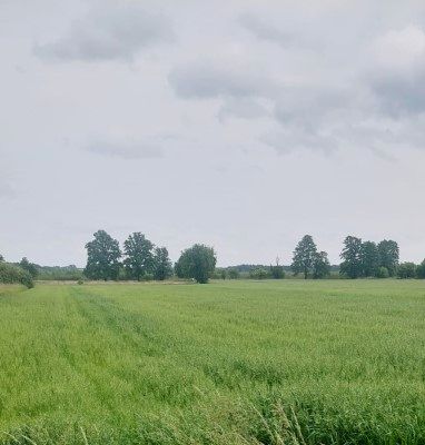 Działka budowlano-rolna Górzyn sprzedam