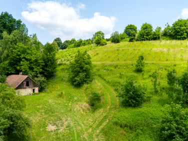 Dom Tuchów