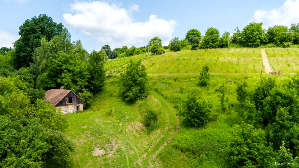 Dom Tuchów