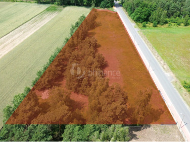 Działka inwestycyjna Lądek