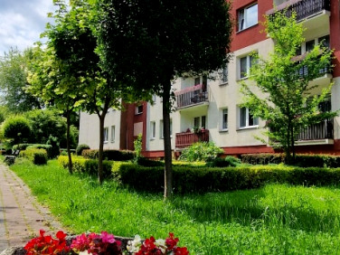 Mieszkanie Bielsko-Biała