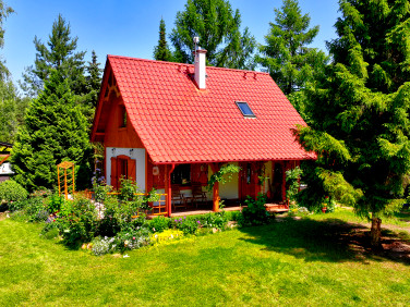 Dom wolnostojący sprzedaż