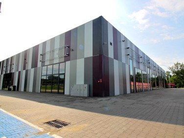 Lokal Ruda Śląska