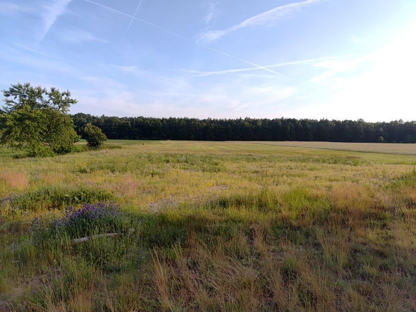 Działka budowlana Lipa sprzedam