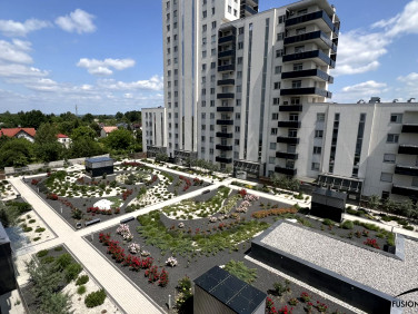 Mieszkanie Rzeszów sprzedaż