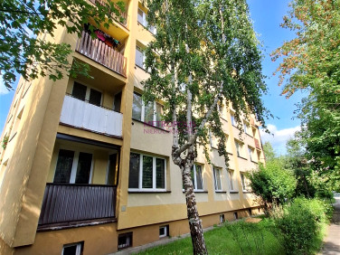 Mieszkanie Rybnik