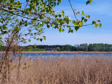 Działka budowlana Skępe