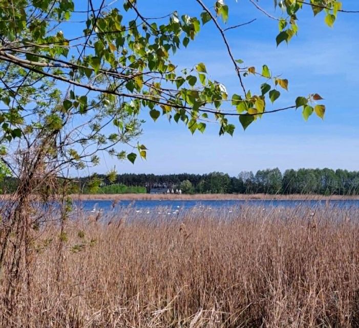 Działka budowlana Skępe