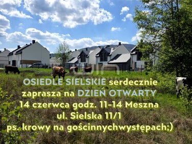 Dom Meszna