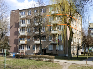 Mieszkanie Pakość