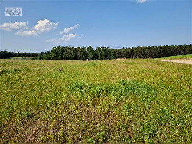 Działka Pierwoszyno